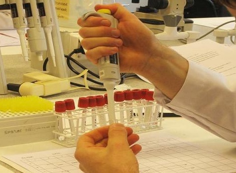 دستاورد جدید محققان ایرانی در افزایش سطح ایمنی واکسن هپاتیت ب
