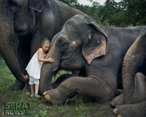 دوستی این دختربچه با فیل ها