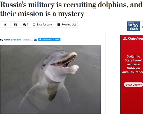 خرید پنج دلفین توسط ارتش روسیه/ ماموریت نا معلوم!