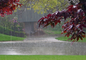 چرا در زمان بارش باران، دعا مستجاب است