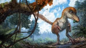 ///کشف دم دایناسور صد میلیون ساله در سنگ کهربا + فیلم
