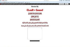 هک شدن سایت فدراسیون ژیمناستیک تکذیب شد