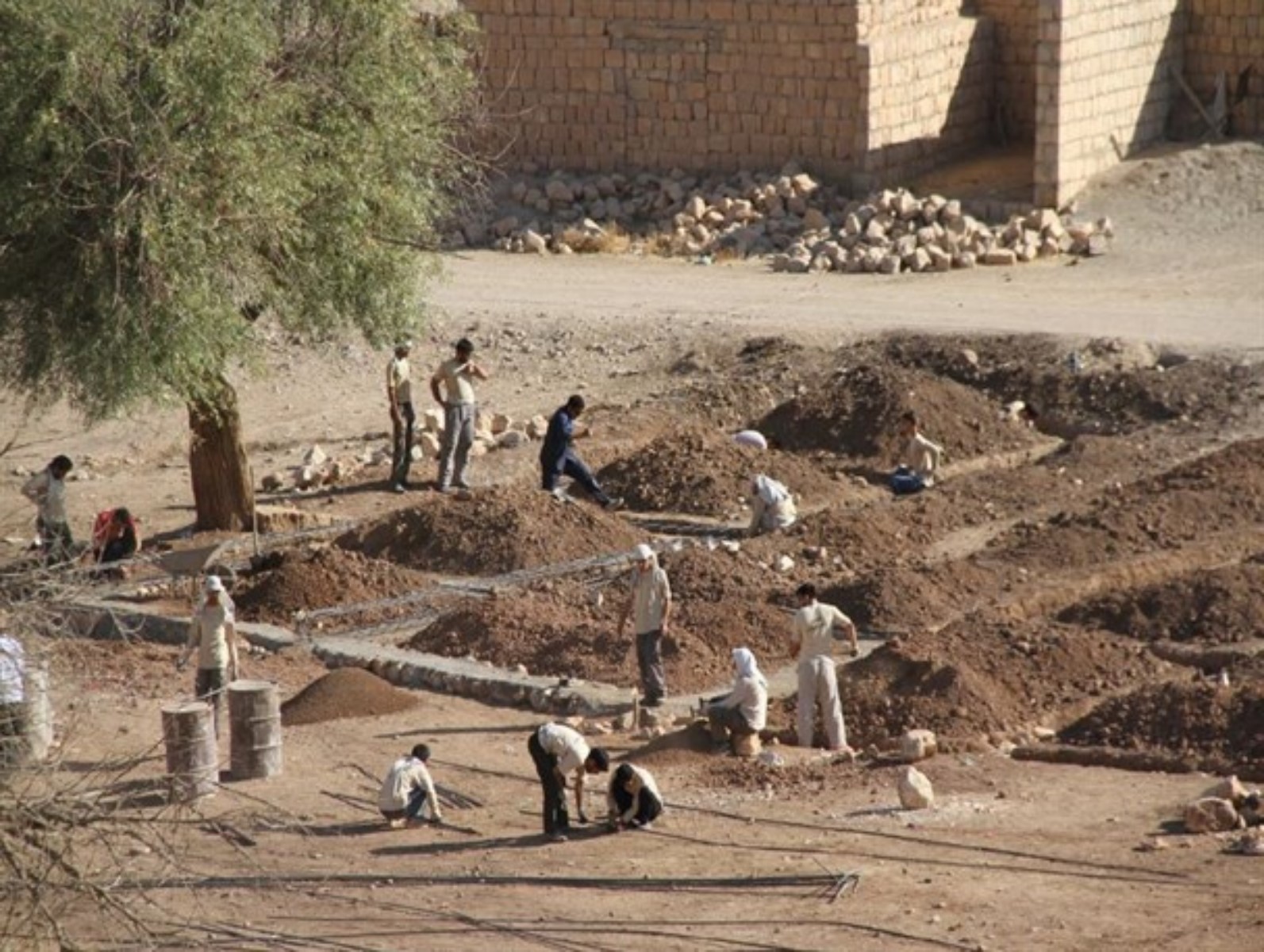 ۱۷۳ پروژه عمرانی توسط جهادگران البرزی در مناطق محروم اجرا می شود/ ۱۰ منطقه آلوده به مواد مخدر در البرز شناسایی شد
