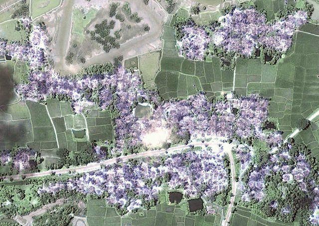تصاویر ماهواره ای روستاهای سوخته روهینگیا