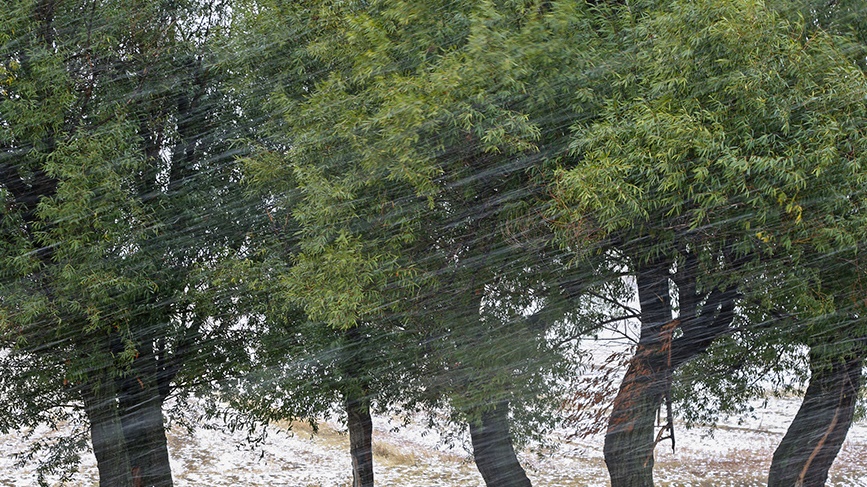 بارش باران در آسمان کشور در نیمه مهر/ برف ارتفاعات ۹ استان را سفید پوش کرد