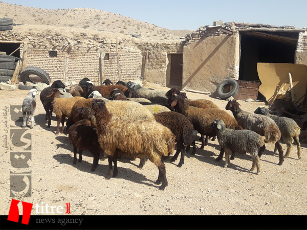 گونی، روستایی در 30 کیلومتری تهران که آب و برق ندارد/ اجرای رایگان پروژه 300 میلیونی آب رسانی توسط جهادگران البرز/ محرومیت 25 خانوار زیر پونزبی توجهی مسئولین