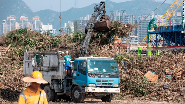 هنگ کنگ چگونه 100،000 درخت از دست رفته را جایگزین می کند
