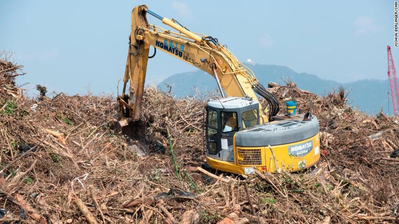 هنگ کنگ چگونه 100،000 درخت از دست رفته را جایگزین می کند
