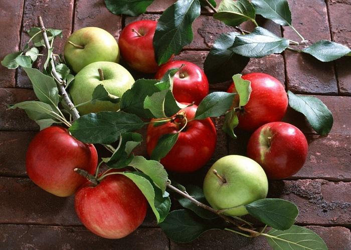 علت افزایش قیمت سیب درختی؛ کاهش تولید یا نوسانات نرخ ارز؟