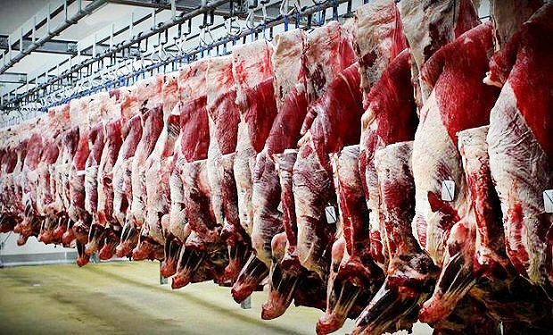 80 تن گوشت قرمز در بازار البرز توزیع می شود