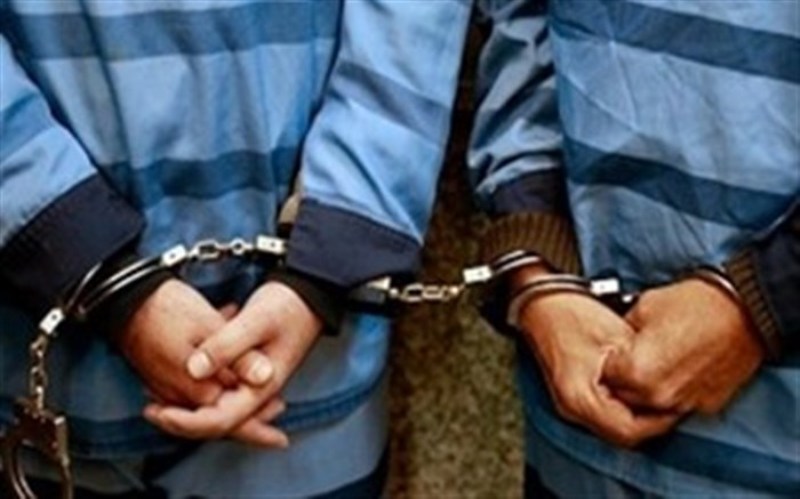 عوامل 14 فقره سرقت در ساوجبلاغ به دام پلیس افتادند