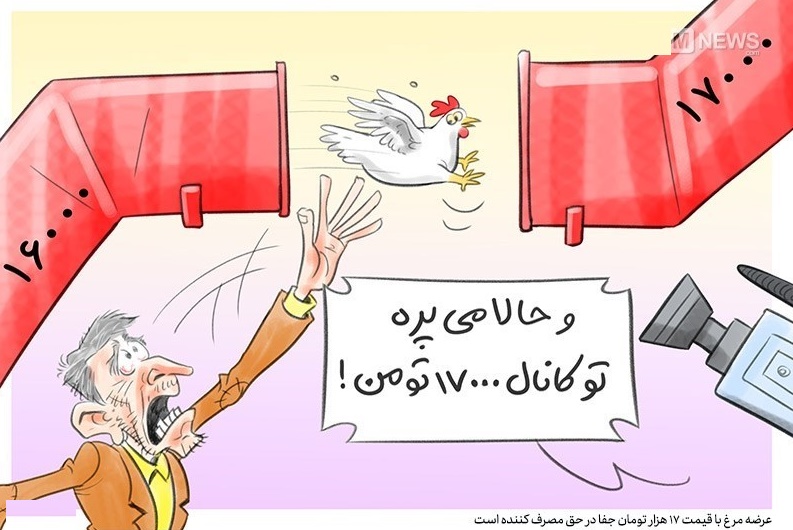 کاریکاتور/ قیمت مرغ به کانال۱۷هزارتومان رسید!