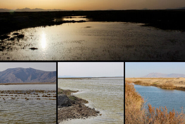 حیات به تالاب‌های فارس برگشت/ خطر برداشت آب هنوز وجود دارد