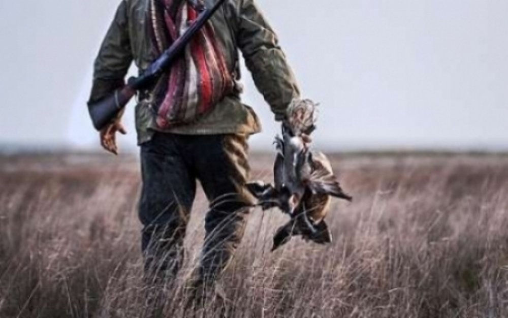 عاملان شکار دو کبوتر فاخته در نظرآباد دستگیر شدند