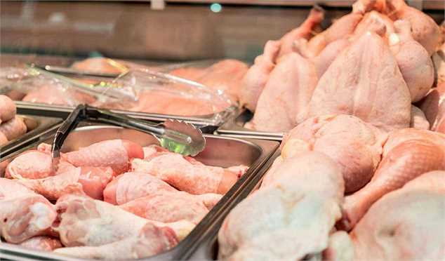 واردات 90 درصدی نهاده های دامی قیمت مرغ را پَر داد/ افزایش تولید و توزیع مرغ منجمد؛ 2 راه تنظیم بازار البرز