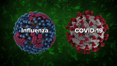 فلورونا یک واریانت جدید از کرونا!/ همه آنچه باید از ابتلای همزمان به کرونا و آنفلوآنزا باید بدانید