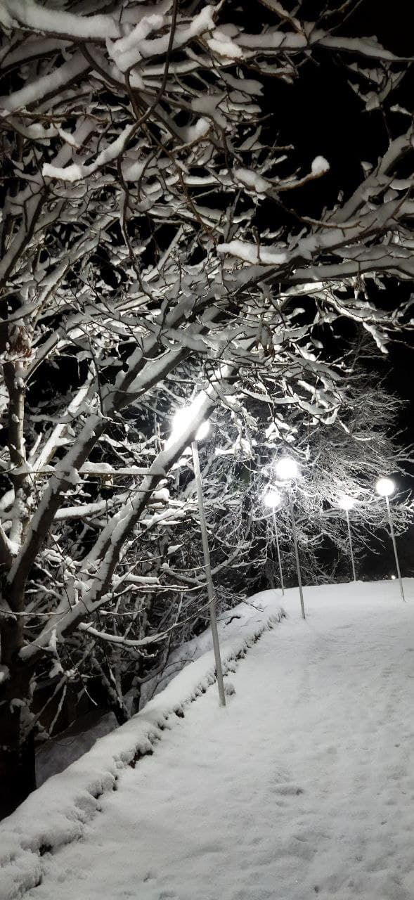 بارش برف شهرستان طالقان را سفید پوش کرد + تصاویر