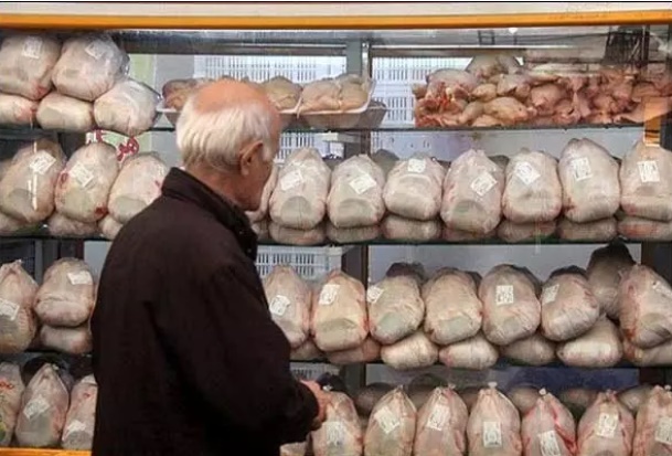 قیمت مرغ در بازار روند افزایشی گرفت / دولت نظارت ها را افزایش دهد