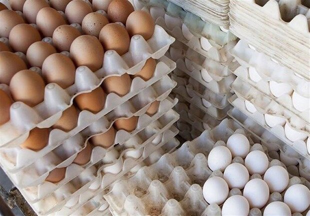تخم مرغ‌ها کوچک شده‌اند!