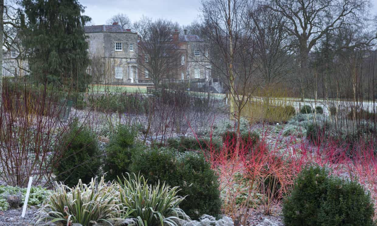 زیباترین باغ های انگلستان در اواخر زمستان و اوایل بهار + تصاویر
