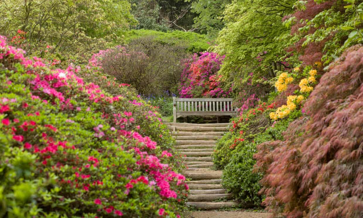 زیباترین باغ های انگلستان در اواخر زمستان و اوایل بهار + تصاویر