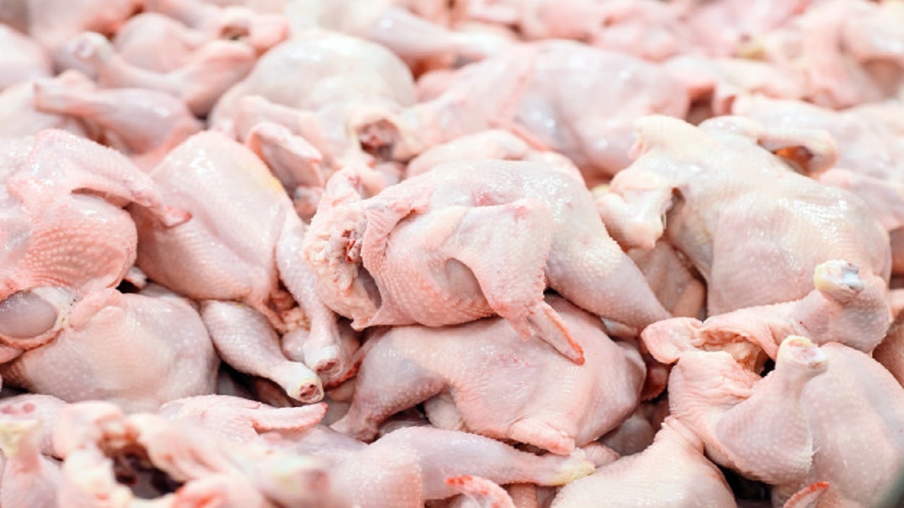روزانه ۲۵ تا ۶۰ تن گوشت گرم مرغ وارد البرز می شود