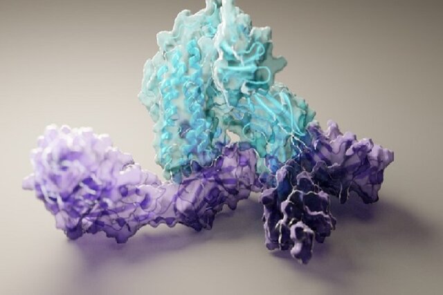 طراحی پروتئینی که ژن‌های خفته را بیدار خواهد کرد