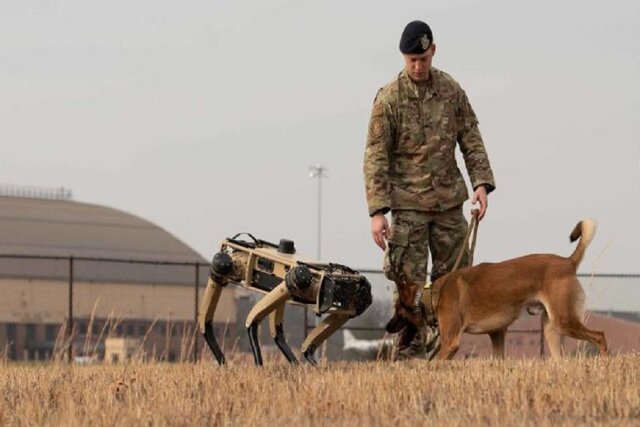 گشت‌زندن سگ‌های رباتیک در مرز آمریکا و مکزیک