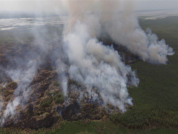 تالاب راهبردی انزلی در معرض نابودی/ آتش، حیات مهم‌ترین زیستگاه جانوری گیلان را تهدید می‌کند