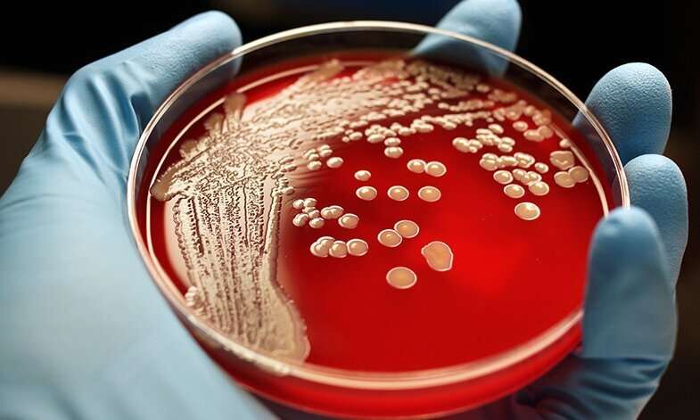 محققان داروی جدیدی برای مقابله با باکتری‌های خطرناک تولید کرده اند
