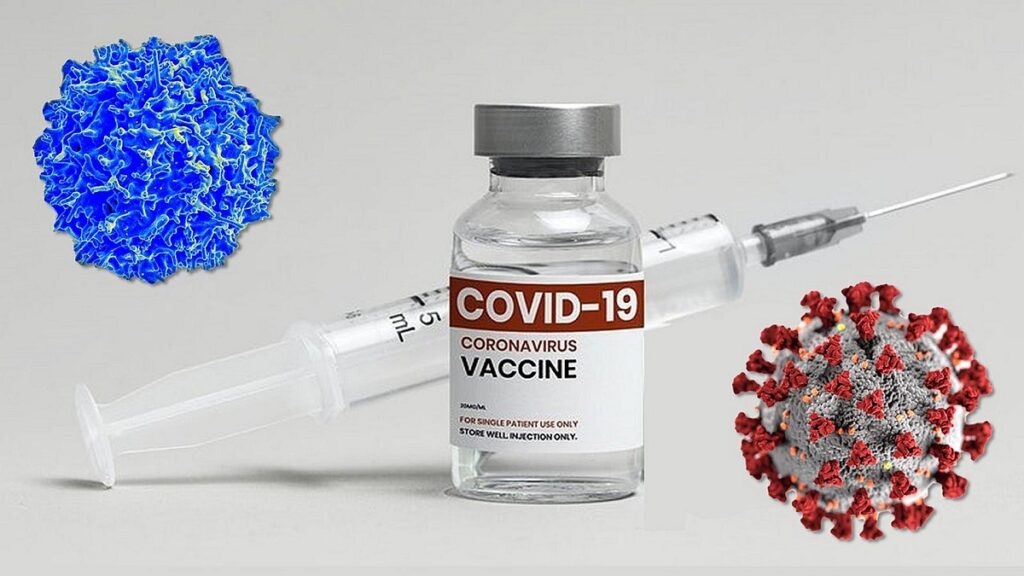 واکسن کرونا خطر ابتلای طولانی مدت به بیماری را به نصف کاهش می‌دهد