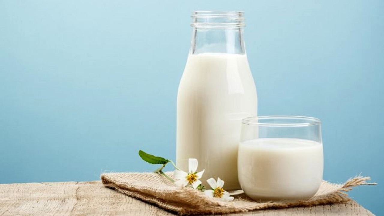 چرا مصرف شیر و لبنیات مهم است؟ / پیشگیری از انواع بیماری‌ها