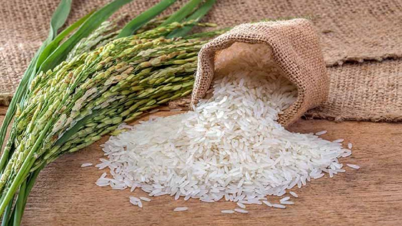 رئیس سازمان حمایت: واردات برنج از آذر ماه آغاز می‌ شود