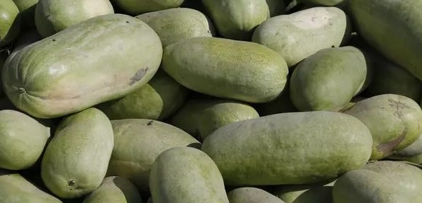 ۱۶۶ هزار تن هندوانه برای شب یلدا به بازار عرضه می شود