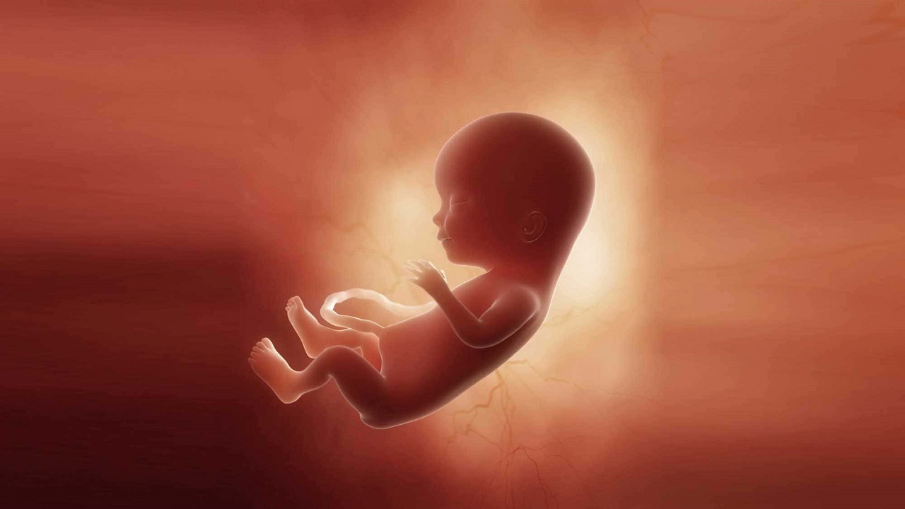 سقط جنین‌های بی‌ضابطه، در قانون جوانی جمعیت از بین می‌رود