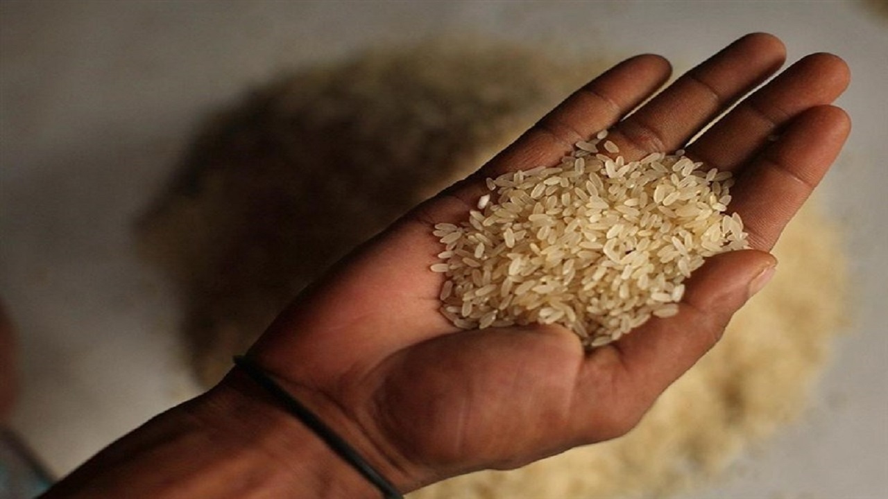 توزیع برنج و شکر یارانه‌ای در سطح کشور آغاز شد