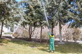 عملیات سم‌پاشی زمستانه درختان برای مقابله با آفات در کرج آغاز شد