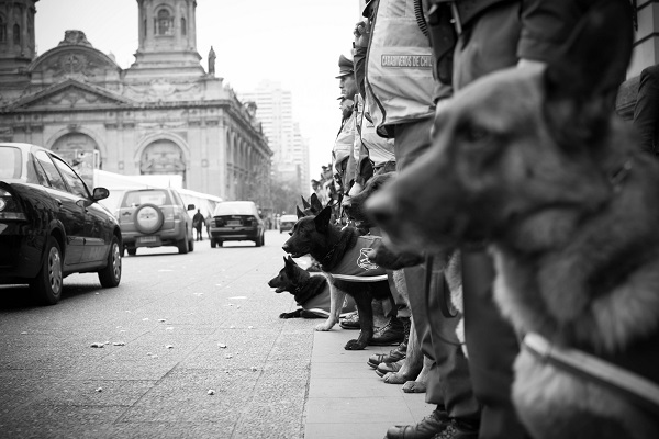 ارعاب، سرکوب و سلاخی سیاه پوستان آمریکایی با سگ های کوبایی + تصاویر