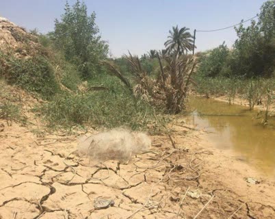 رفع تنش آبی خوزستان در گرو تغییر تفکر وزارت نیرو است/ تغییر الگوی کشت باید اولویت جهاد کشاورزی باشد