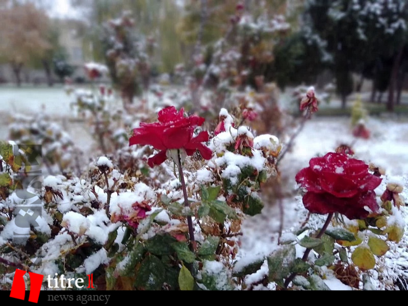 اولین برف پاییزی در کرج + تصاویر