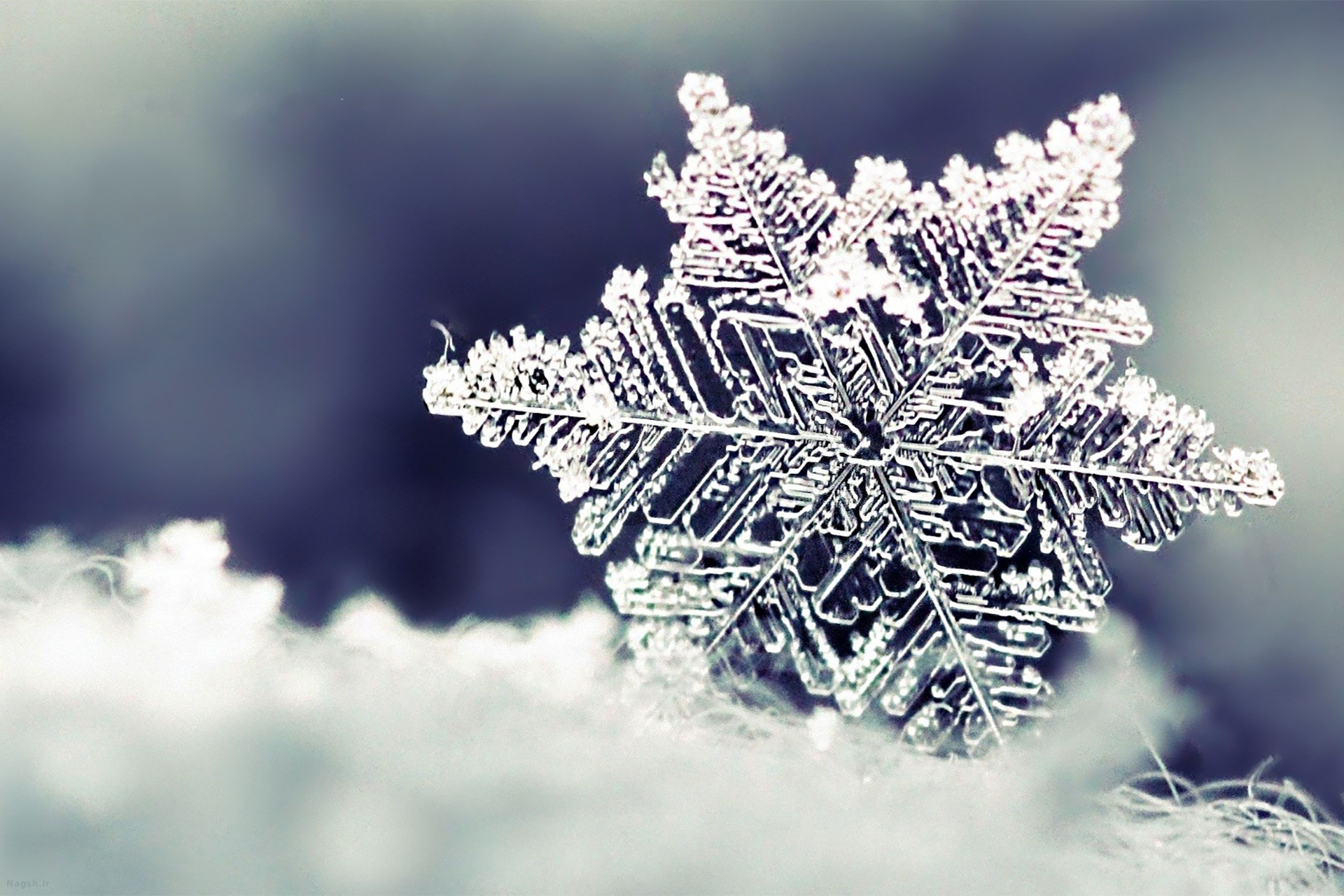 اینفوگرافیک | راه های کاربردی برای محافظت در برابر سرمای زمستان  /////تکمیل شد.