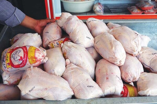 افزایش قیمت مرغ متاثر از عدم برنامه ریزی و سوءمدیریت ها در سطح کلان است/ جهاد کشاورزی البرز با مرغ منجمد بازار را تنظیم می کند
