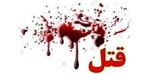کینه‌توزی جوان ۱۷ ساله عامل قتل مرد ۳۴ ساله در نظرآباد