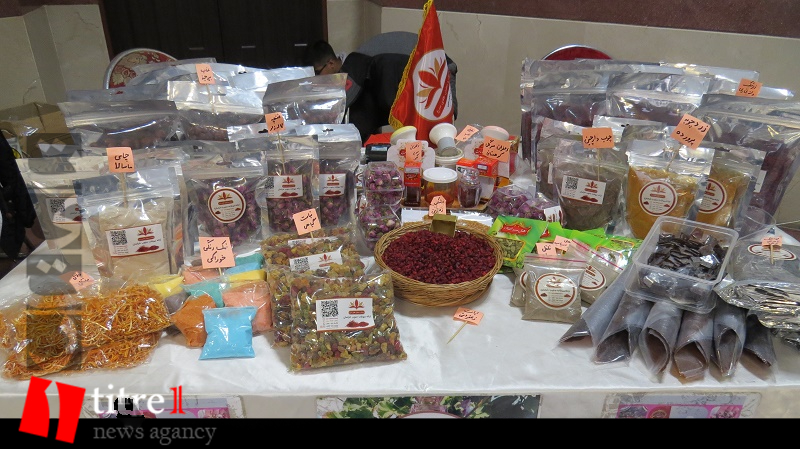 برگزاری نمایشگاه بانوان کارآفرین در کرج
