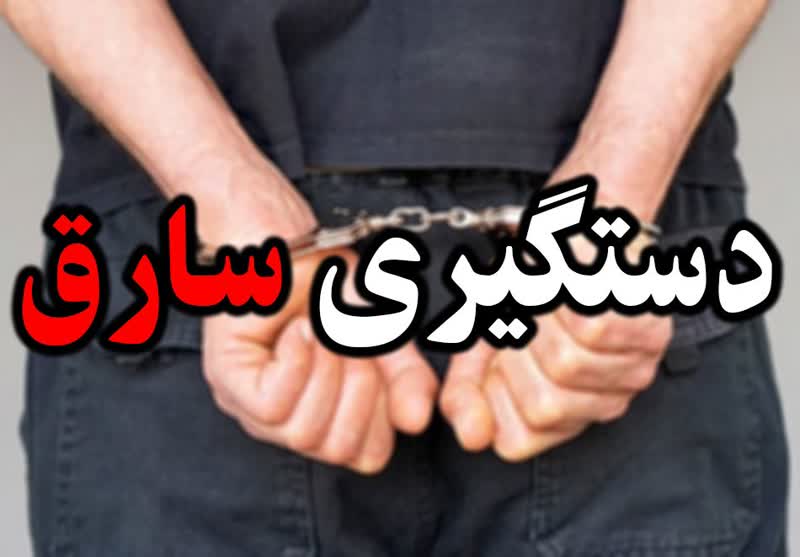 سرقت در تهران، دستگیری در البرز