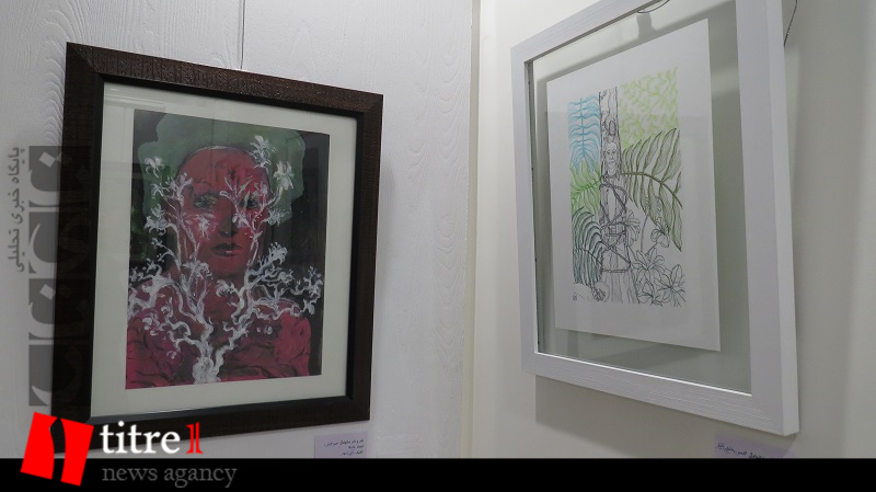نمایشگاه تصویرسازی «تن و طبیعت» برگزار شد