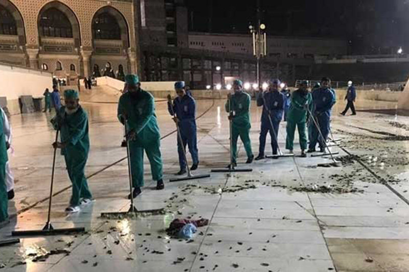 فیلم/ هجوم ملخ‌ها به صحن مسجد النبی//////تکمیل شد.