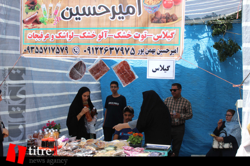جشنواره گیلاس در روستای فشند، مهد گیلاس + تصاویر