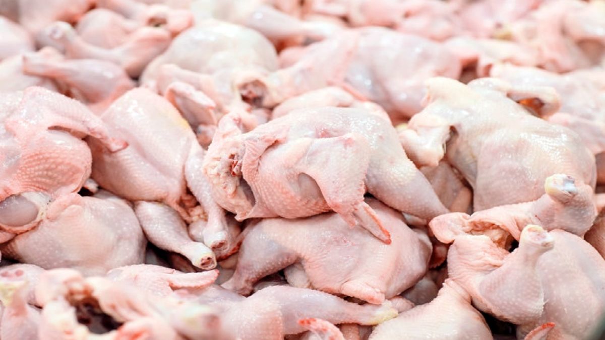 نوسانات بازار مرغ کاهش می‌یابد