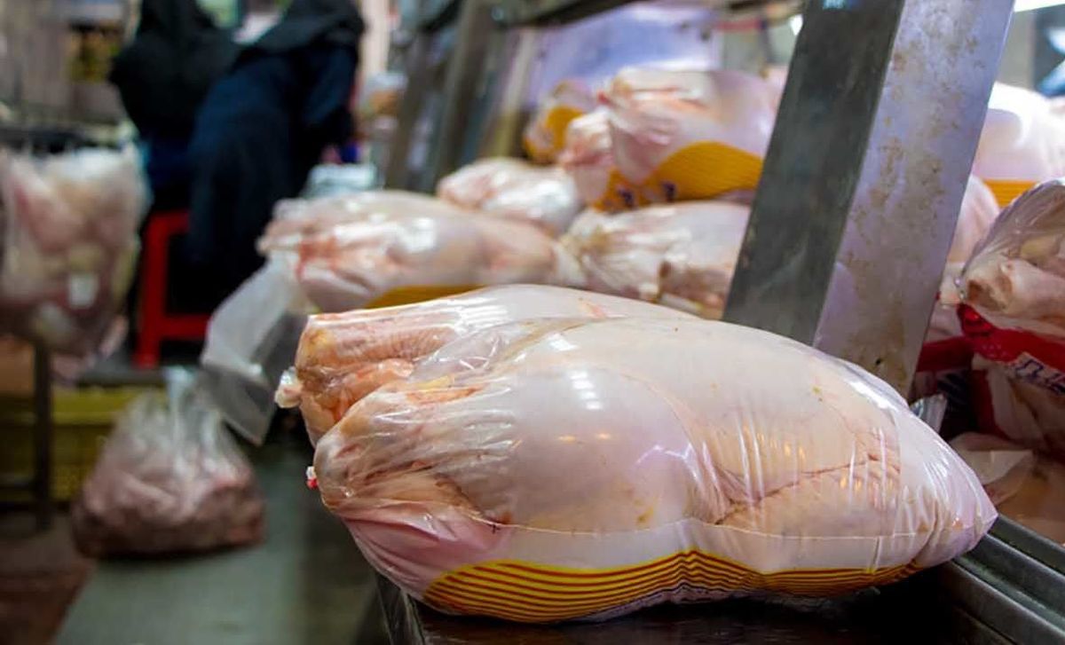 افزایش ۴۰ درصدی تولید مرغ در البرز صف مردم را کم کرد